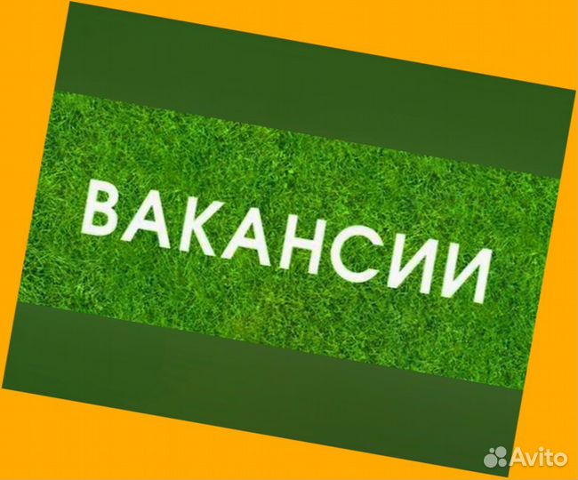 Сборщик заказов Выплаты еженедельно Без опыта М/Ж