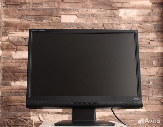 Монитор с динамиками 19” iiyama ProLite e1900ws