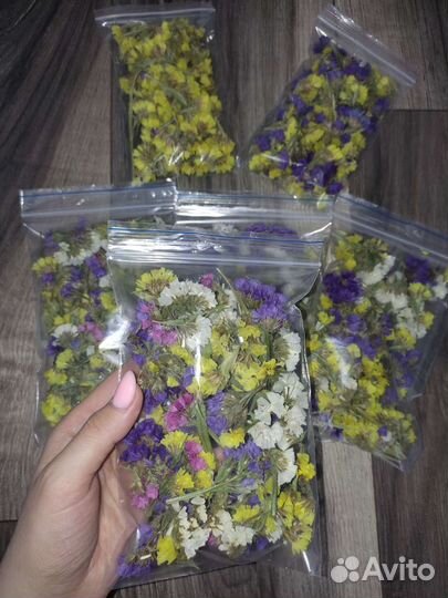 Сухоцветы для творчества Статица