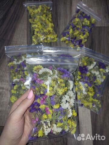 Сухоцветы для творчества Статица