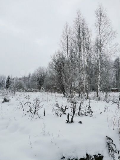 Участок 15 сот. (СНТ, ДНП)