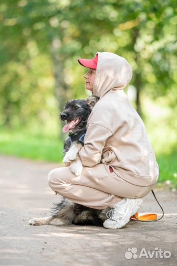 Собака в добрые руки щенок