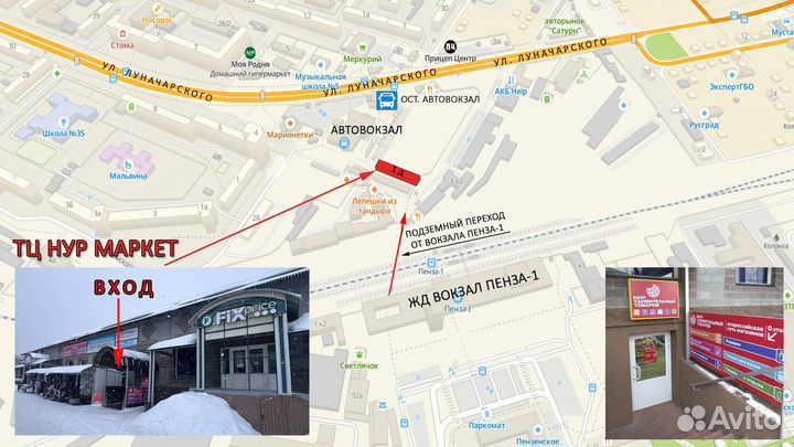 Наушники с ушками headset CAT STN-28 синий