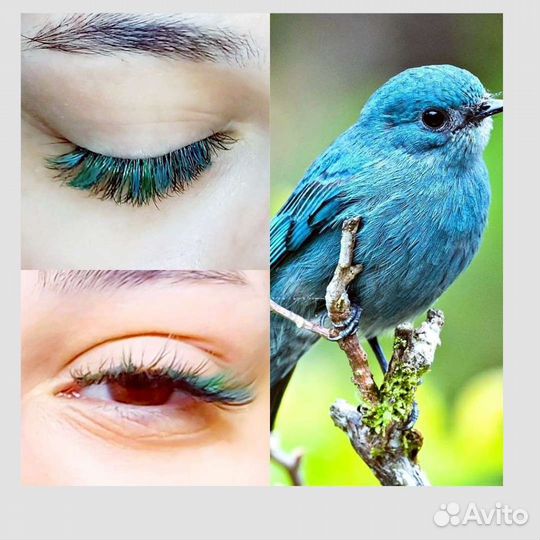 Наращивание и Лами ресниц, доу и окраска бровей