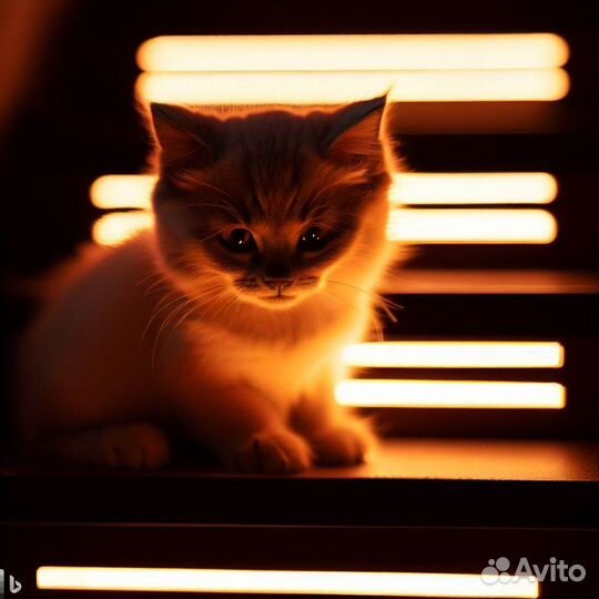 Подсветка лестницы с датчиками движения