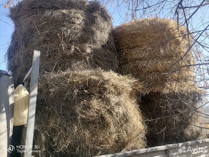 Сено солома в рулонах