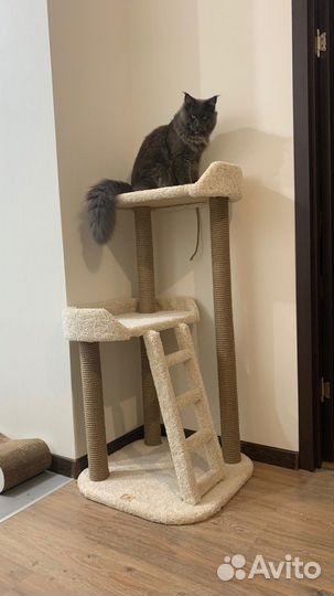 Когтеточка Комплекс для кошек «Кисельные берега»