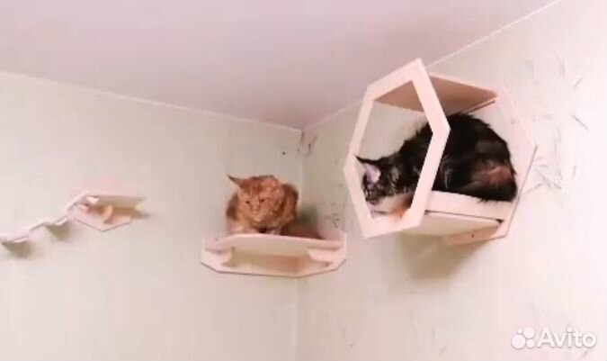 Комплекты настенных аксессуаров для котиков