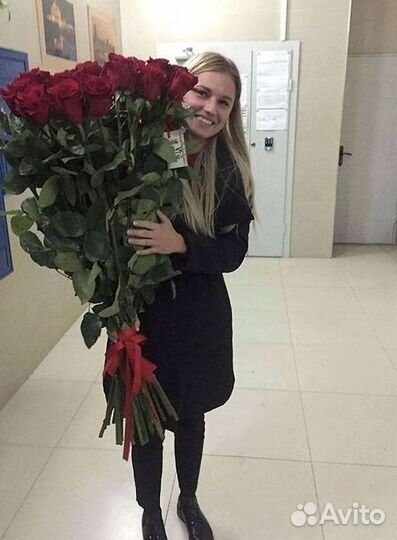 Розы гиганты 140 150 160 170 180 200