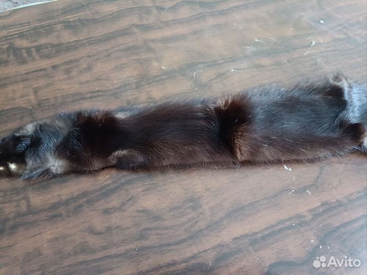 Шкурка норки