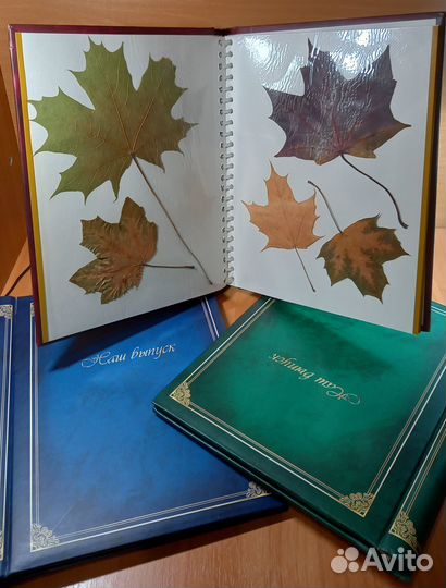 Фотоальбом с магнитными страницами