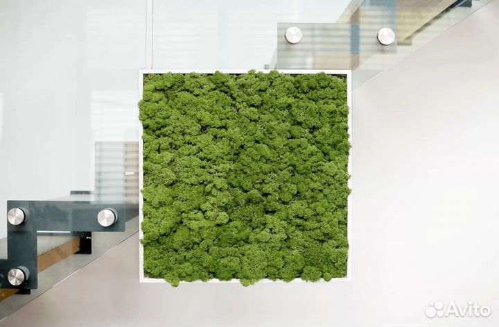 Панно из мха