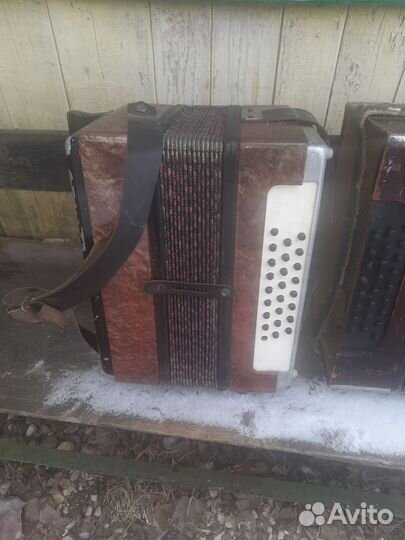 Баяны Тульские