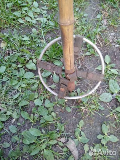 Лыжные палки бамбук СССР