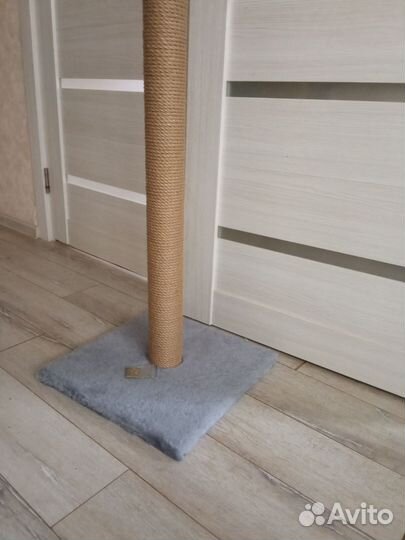 Новая когтеточка 101 см