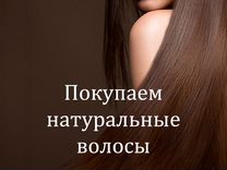 Скупка волос сдать продать волосы Ярославль
