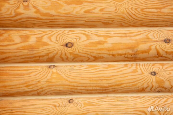 Сруб из Кедра оцб