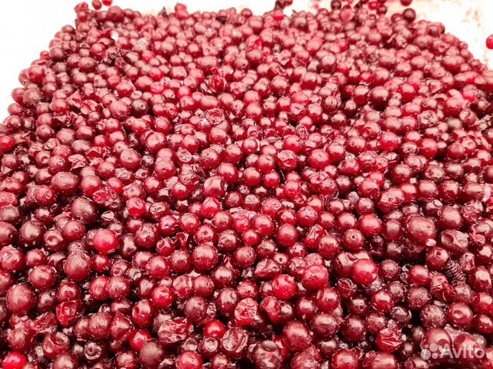 Продам свежую бруснику, клюкву