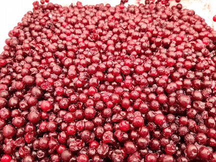 Продам свежую бруснику, клюкву