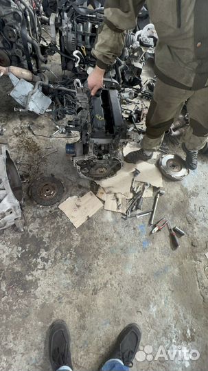 Ford focus 3 1.6 125 л двигатель