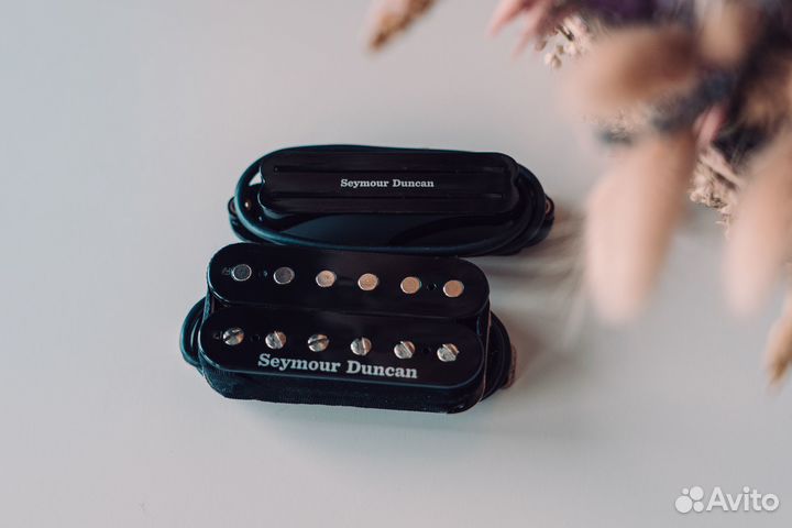 Seymour Duncan TB-6 + SHR-1N
