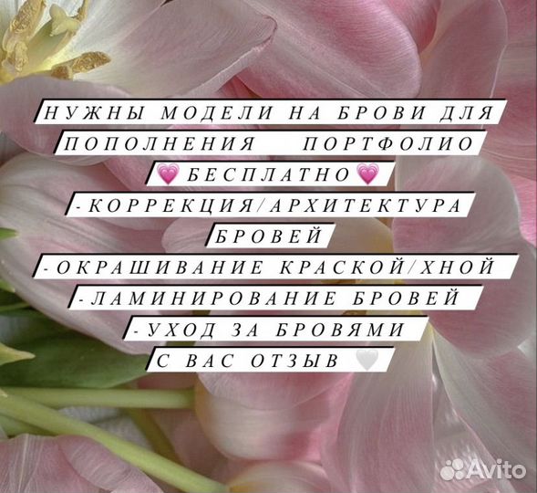 Брови
