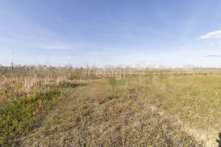 Участок 10,2 сот. (СНТ, ДНП)