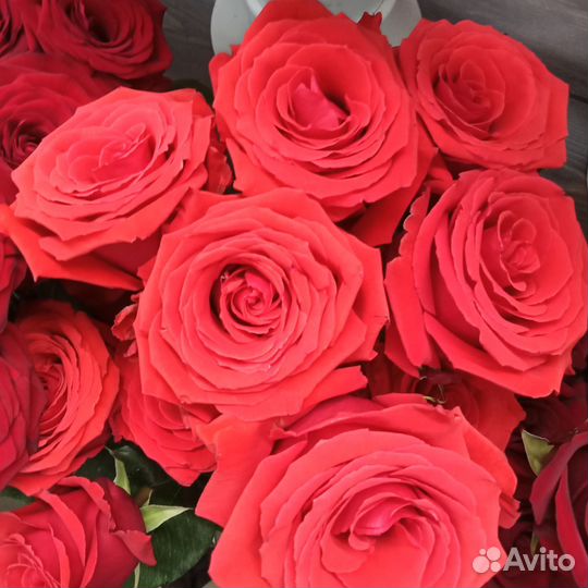 Розы.Доставка.Тамбов