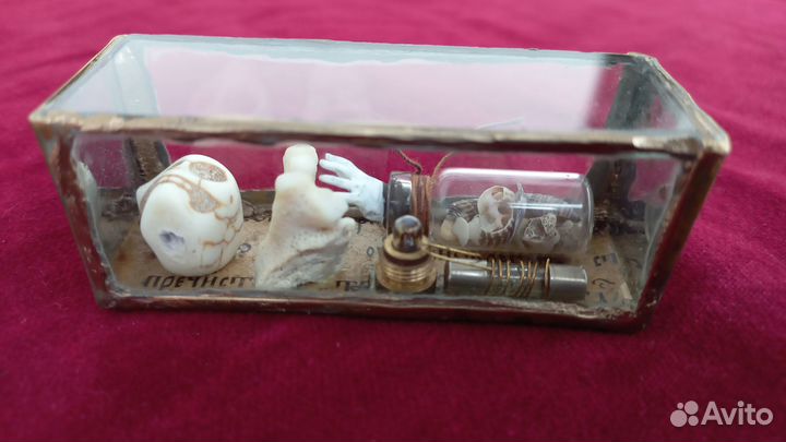 Коробочка-предсказаний, ясновидец, предсказатель