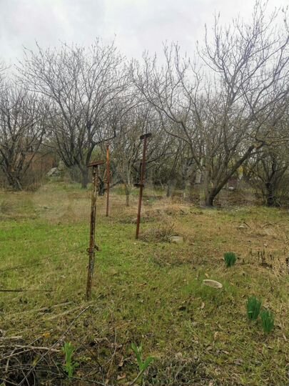 Участок 10 сот. (СНТ, ДНП)