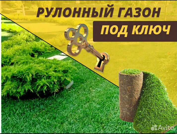 Рулонный газон.Укладка газона