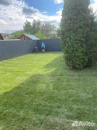 Укладка и продажа рулонного газона