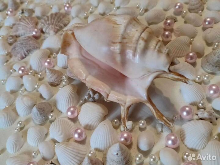 Ракушки Ламбис Ламбис и Кроката