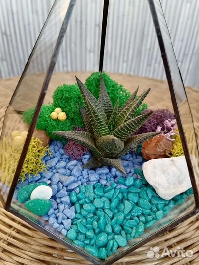 Флорариум капля, подарок с wow эффектом