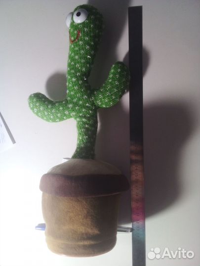 Поющий кактус