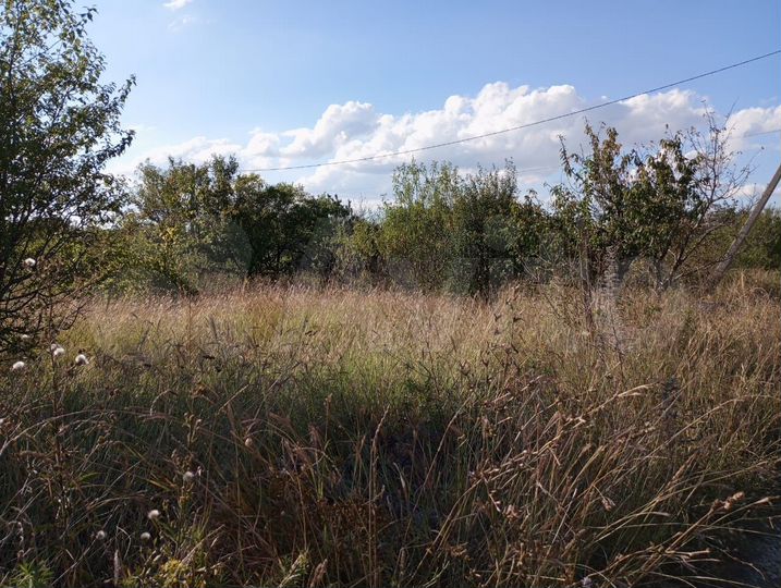 Участок 4 сот. (СНТ, ДНП)