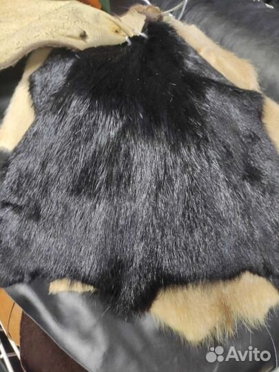 Шкурка нутрии