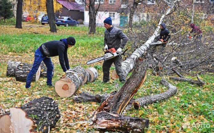 Вывоз мусора, расчистка участка, спил деревьев