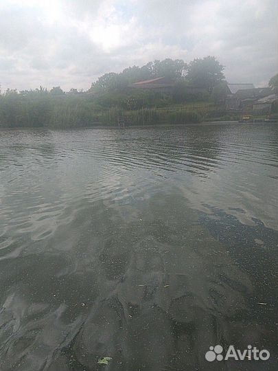 Корма для собак шрот говяжий