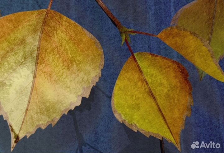 Фотообои по своим размерам