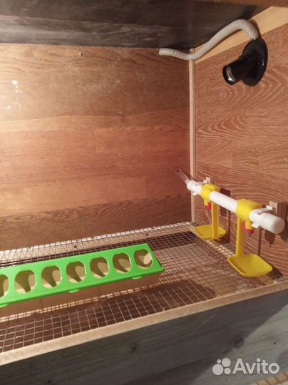 Цыплятам клетка - брудер