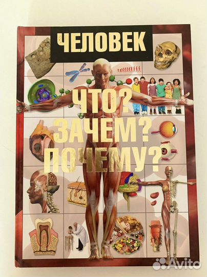 Большая энциклопедия по анатомии