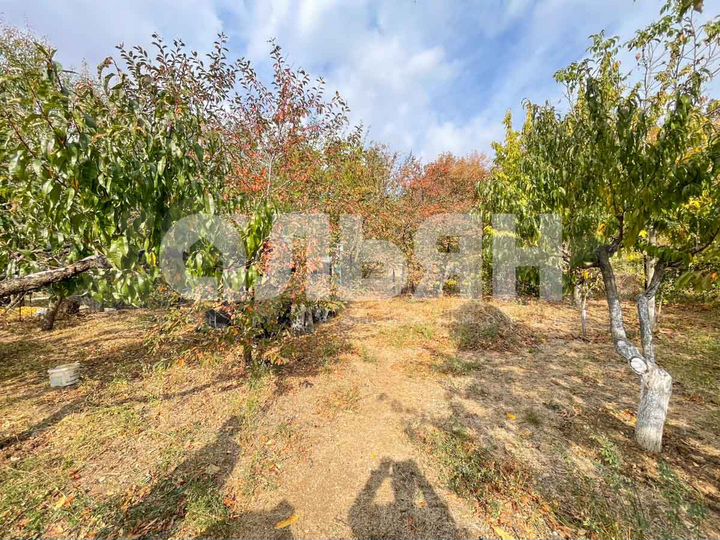 Участок 5,4 сот. (ИЖС)