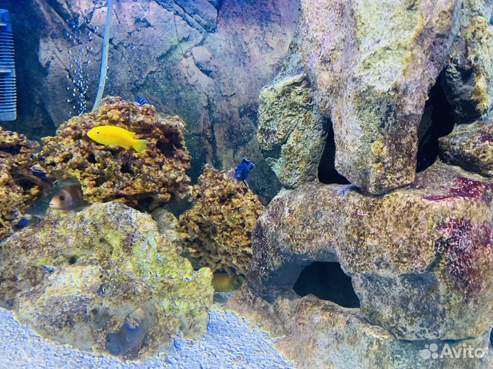 Аквариум Juwel lido 200 Led