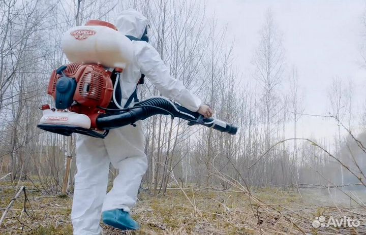 Уничтожение клопов тараканов