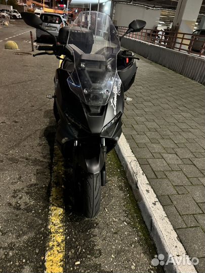 Regulmoto grido 175, 2024