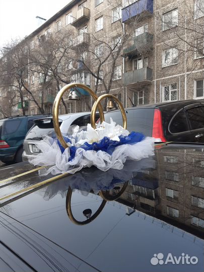 Ведущая,тамада