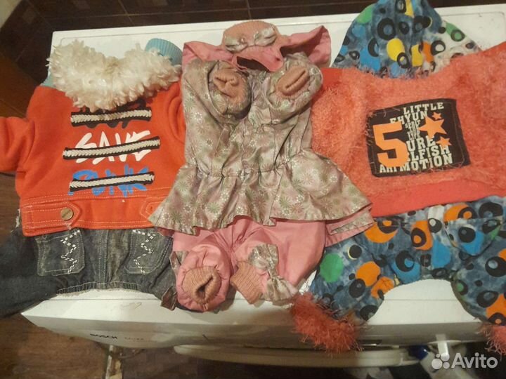 Одежда для собак и кошек