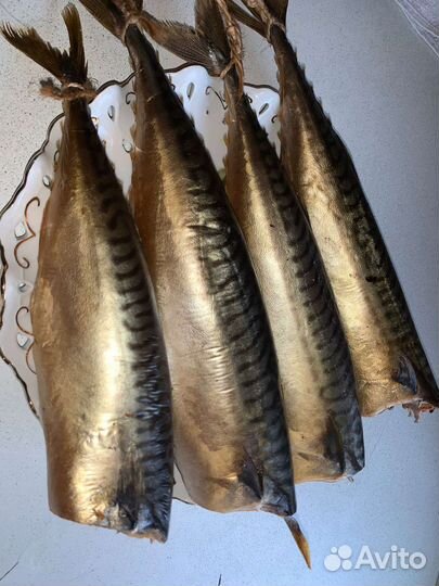 Скумбрия,Форель,Терпуг,Камбала, Г/К Х/К