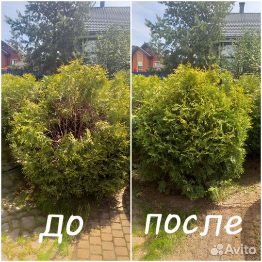 Услуги садовника